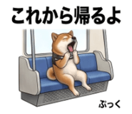 854952802