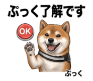 854952805