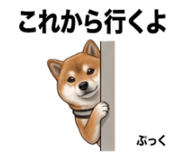 854952808