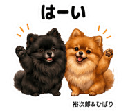 854953177