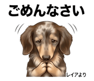 854953886
