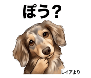 854953888