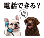 854953956