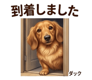 854954251