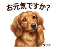 854954253