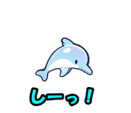 854955446