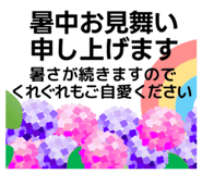 854955534