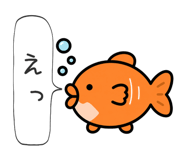 854955805