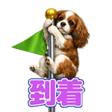 854958925