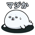 854959658