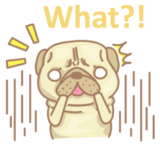 8549598