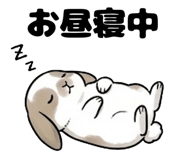 854960037