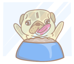 8549604