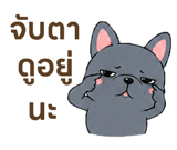 854960739