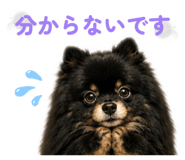 854961055