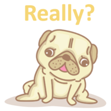 8549611