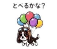 854961284