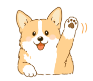 854965636