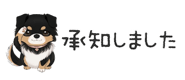 854966259