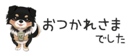 854966262