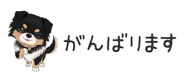 854966272
