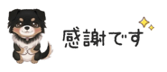 854966273