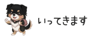 854966277