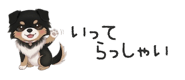 854966278