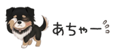 854966284