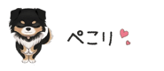 854966285