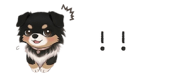 854966291