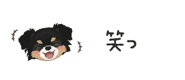 854966292