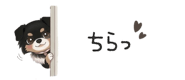 854966294