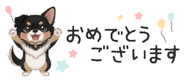 854966296