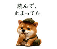 854967037