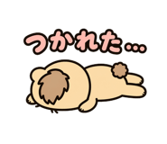 854967509