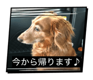 854968928