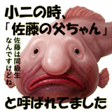 854968997