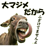 854969010