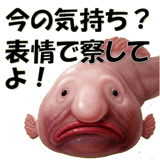 854969012