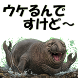 854969016