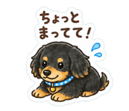 854969155