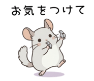 854969311