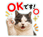 854969620