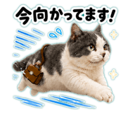 854969624