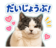 854969632