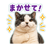 854969633