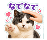 854969640