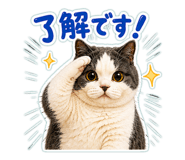 854969645