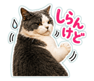 854969648